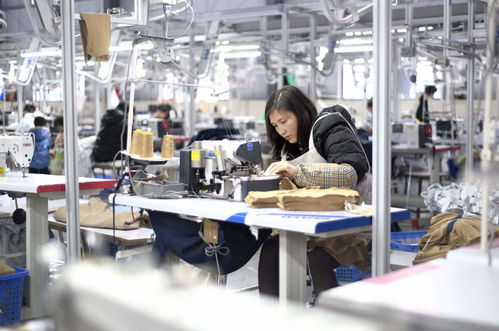 服裝輔料制造業(yè)沖刺開(kāi)門(mén)紅，企業(yè)生產(chǎn)忙助力經(jīng)濟(jì)穩(wěn)增長(zhǎng)